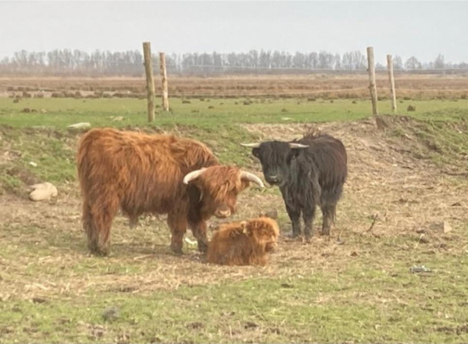 'T Huske Werkendam Exterior foto